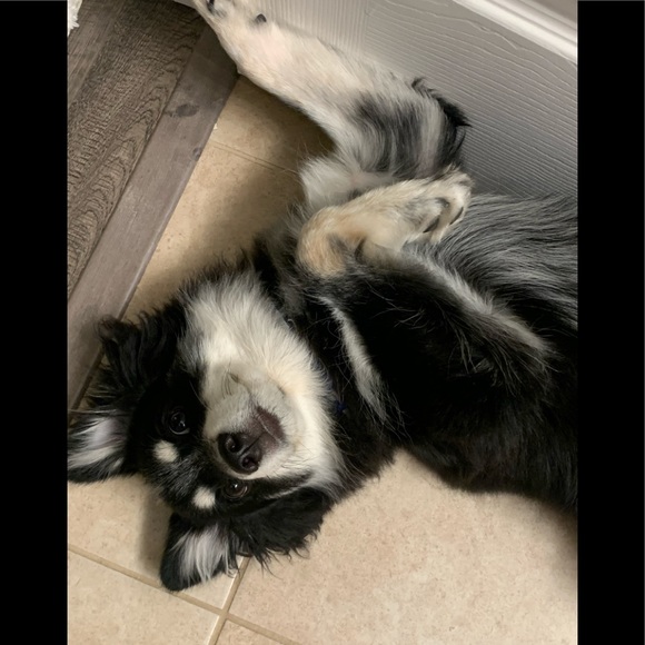 Meet your Posher, Kati - Picture 5 of 13